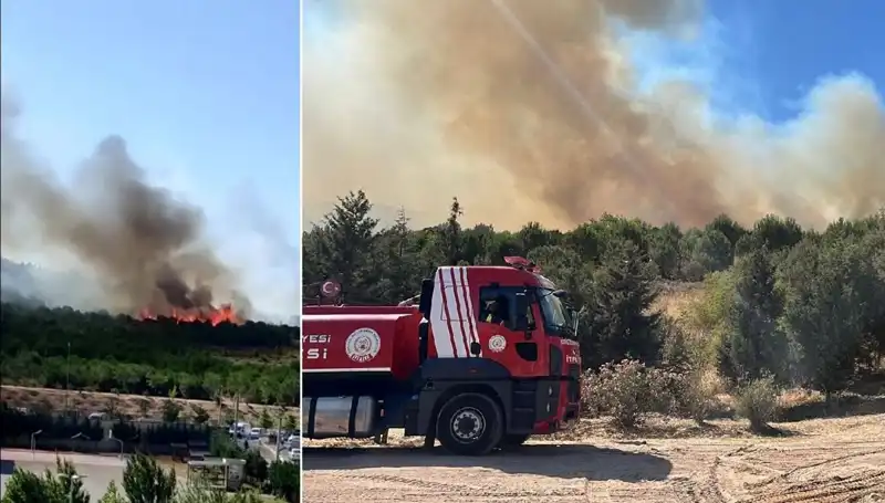 Gebze'de Yangın Paniği: Orman Alev Alev Kül Oluyor!