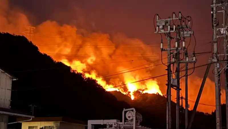 Japonya'da Orman Yangınları Alarm Veriyor: İki Eyalet Tehlike Altında