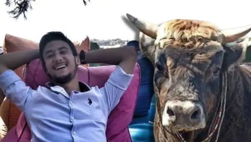 Aydın’da Güreş Boğası Can Aldı: Elleri Kırımdan Gelen Dram