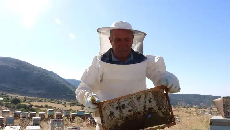 Mobilyacıdan Çiftçi Olmaya: 25 Yıl Sonra 2 Ton Ürün Elde Etti