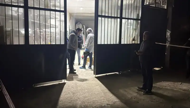 İş Yerinde Korkunç Cinayet: Battaniye ile Kapatılan Gizli Sır