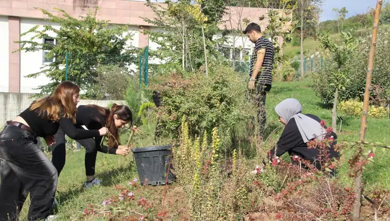 Düzce’nin Gözdesi: Hayaller Gerçek Oluyor, Dünyayı Sarmaladı!