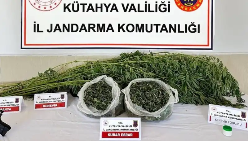 Kütahya'da Çarpıcı Uyuşturucu Operasyonu: Bir Şahıs Ele Geçirildi