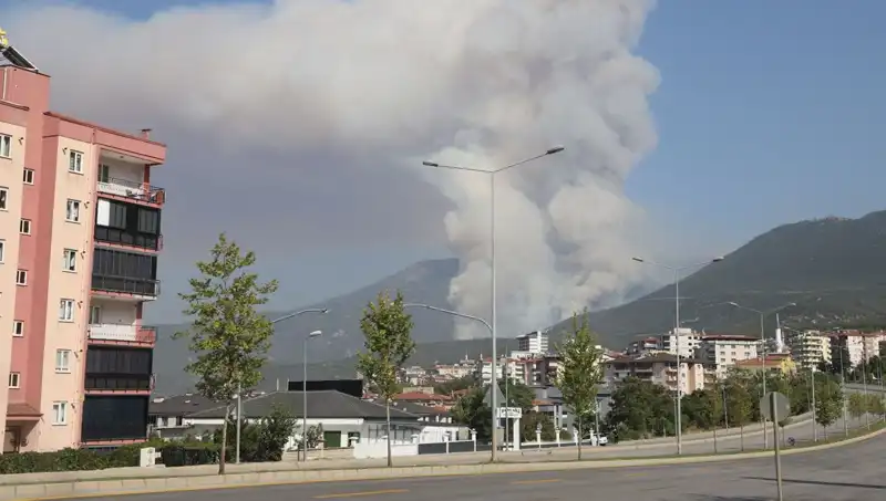 Denizli'de Orman Yangını: Bir Şüpheli Gözaltında, Yangının Sebebi Araştırılıyor