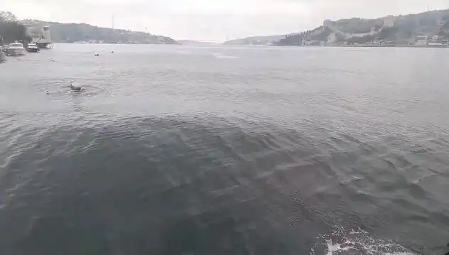 İstanbul Boğazı'nda Dalgaların Yükselmesi: Nedenleri ve Sonuçları