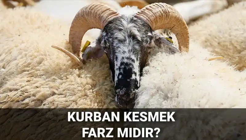 Kurban Kesmek Farz Mı? Diyanet’e Göre Kesim Şartları ve Detaylar