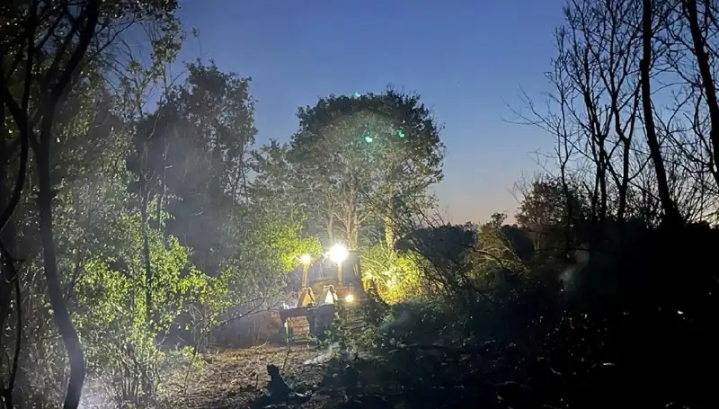 Edirne'deki Korkutan Orman Yangını Yayılmadan Kontrol Altına Alındı