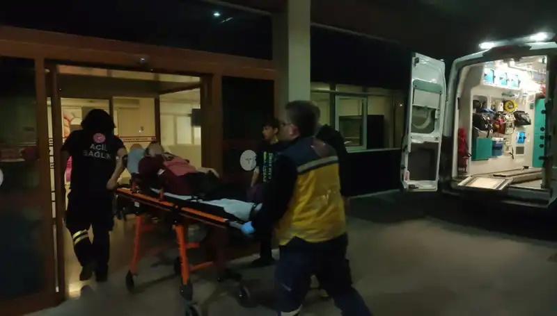Soba Faciası Tekrarlandı: Zehirlenmeler Hızla Artıyor!
