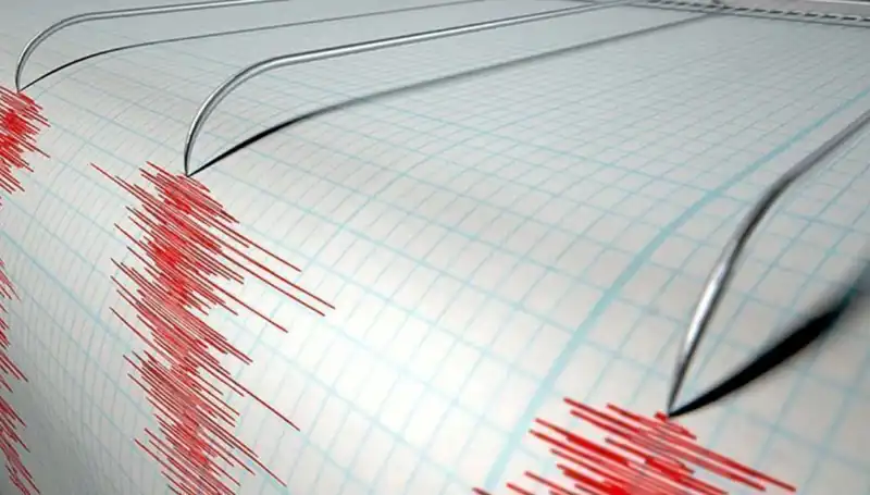Yeni Zelanda'da Şok Edici 6,7 Büyüklüğünde Deprem: Halk Ne Yapmalı?