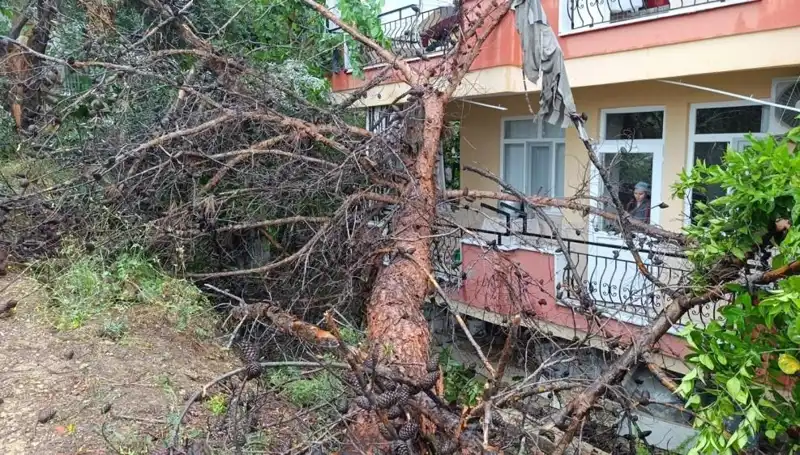 Yağmurun Ağır Yükleri: Bina Bir Anda Yerle Bir Oldu