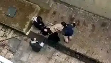 Kampüste Köpek Paniği: Düşme Anı Kameralara Yansıdı