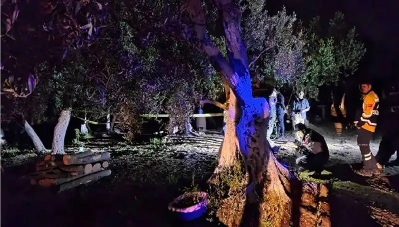 Çiftlikteki Baltalı Vahşet: Bir Tutuklama, Daha Neler Olacak?