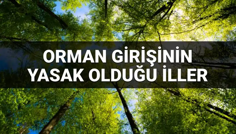 2025 Yılında Orman Girişine Yasaklanan İller ve Nedenleri