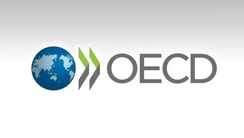OECD, Türkiye'nin Ekonomik Büyüme Tahminlerini Yeniden Değerlendirdi